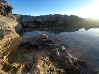 Sometimes hope appears in the most unexpected places :)