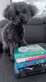 A quick reel with some amazing fiction books that dyslexic kids will adore (and which we’re huge fans of at my house). Modelled by Luna the cavoodle who is looking very oodle since her latest groom! 
For younger and middle grade readers :
The Polly and Buster series by @sallyrippinauthor 
Clarice Bean Spells Trouble by @laurenchildthatsme (while not specifically about dyslexia, Clarice Bean puts problematic spelling firmly in its place) 
For Older Kids
Fish in a Tree by @lyndamullalyhunt 
The Percy Jackson series by Rick Riordan 
It’s so important for kids to see themselves in literature, and for dyslexic kids these books - as well as the @dav_pilkey books - are a great place to start. 
I’m posting about dyslexia for 10 days during October (Dyslexia Awareness Month) - and this is post 4 of 10. 
#authorsfordyslexia 
#authorsfordyslexiaawareness 
#authorscelebratingdyslexicthinkers 
#dyslexia 
#dyslexiaawarenessmonth 
#goredfordyslexia